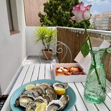 Le Terre&mer A 150m Des Plages Et Du Port Apartment Agde